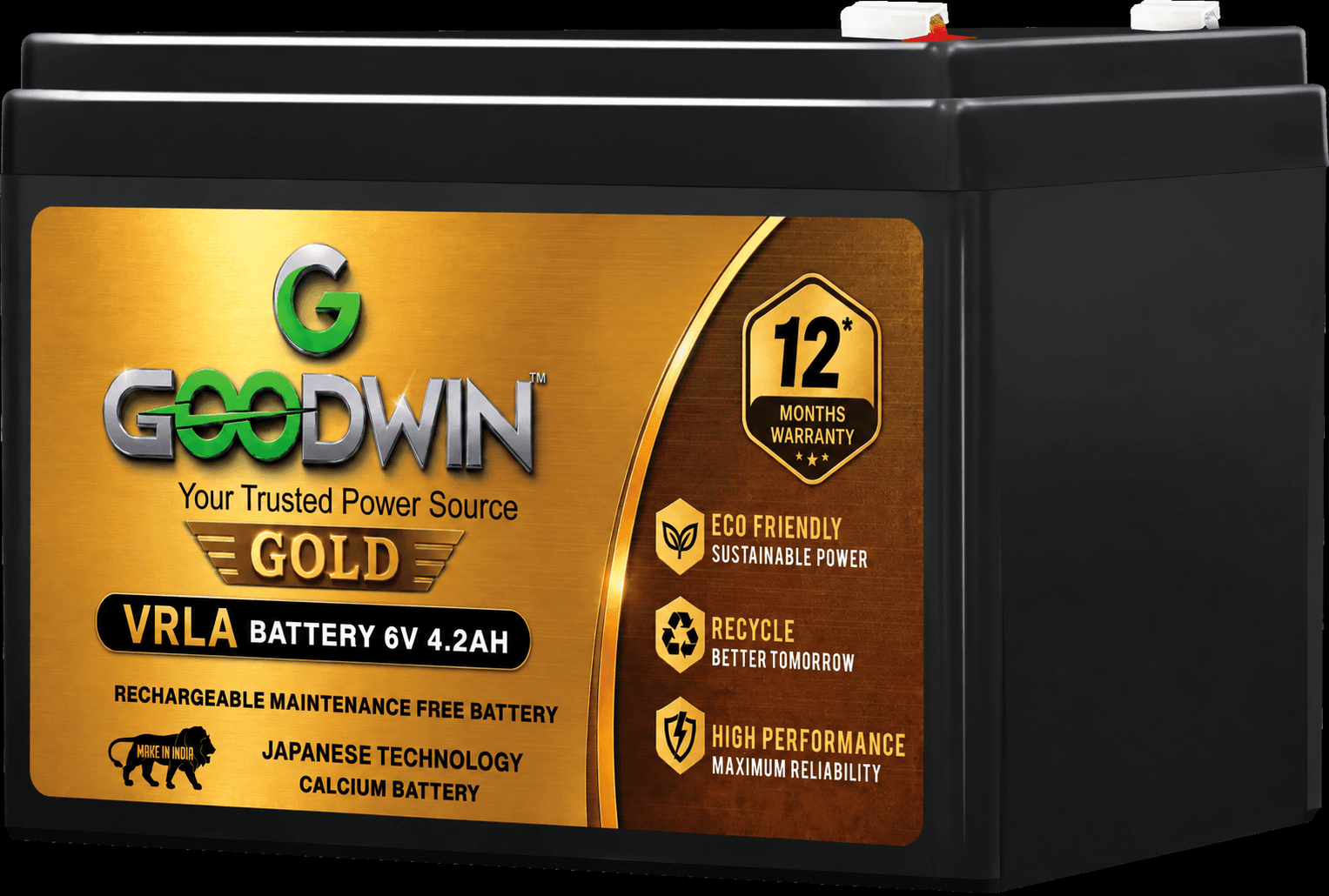 GOLD SERIES 6V 4.2AH (12 Months)