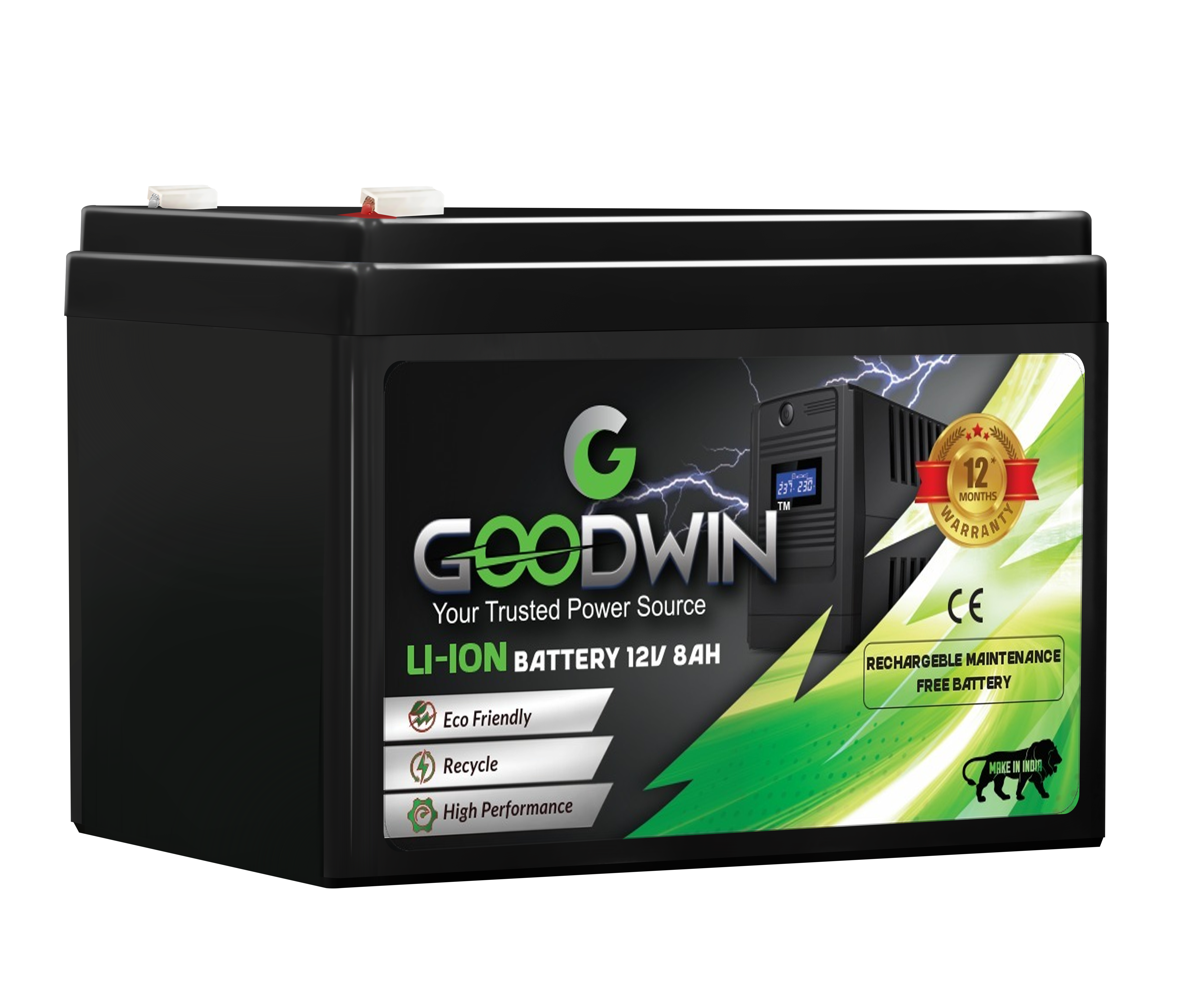Goodwin Li-Power Smart LFP Energy Pack (GW-LFP12-24)